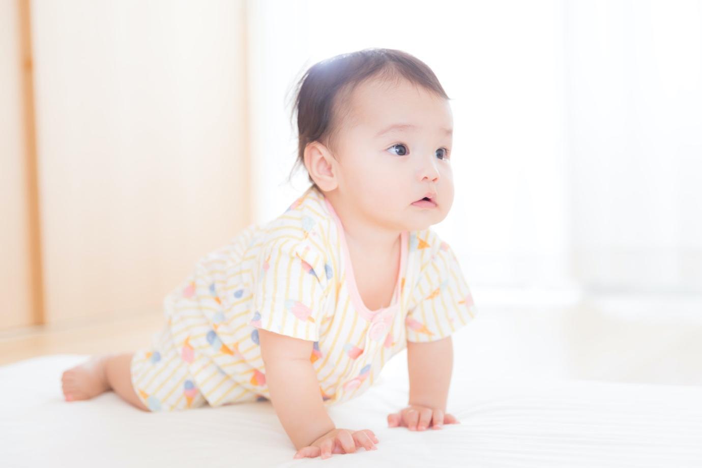 「ハイハイをはじめた赤ちゃん」の写真［モデル：めぐな］